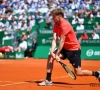 David Goffin efface Haase et attend.. Novak Djokovic