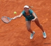 Elise Mertens n'a pas pu venir à bout de la numéro 1 mondial