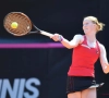 Alison Van Uytvanck remporte son duel sororicide contre Kirsten Flipkens à Saint-Pétersbourg