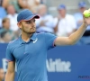David Goffin limite la casse au classement ATP