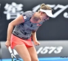 Il n'y a désormais plus de Belge à l'Open d'Australie !