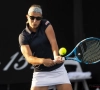Le match de Kirsten Flipkens au tournoi d'Istanbul a tourné court