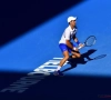 Open d'Australie : Zverev et Coric éliminés