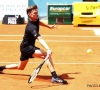 David Goffin, un top 10 pour une confirmation ? 
