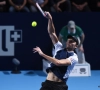 Karlovic n'a pas résisté à son deuxième marathon
