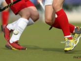 🎥 EHL : un troisième club belge voulait rejoindre le Dragons et le Waterloo Ducks en quarts de finale 