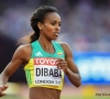 Genzebe Dibaba doit renoncer ! 